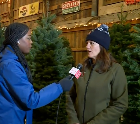 Sugar Pines Farm in Chesterland Gives Tips to for the Perfect Christmas Tree